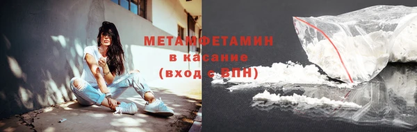 мяу мяу мука Аркадак
