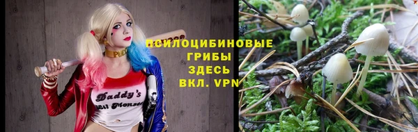 прущие крисы Армянск